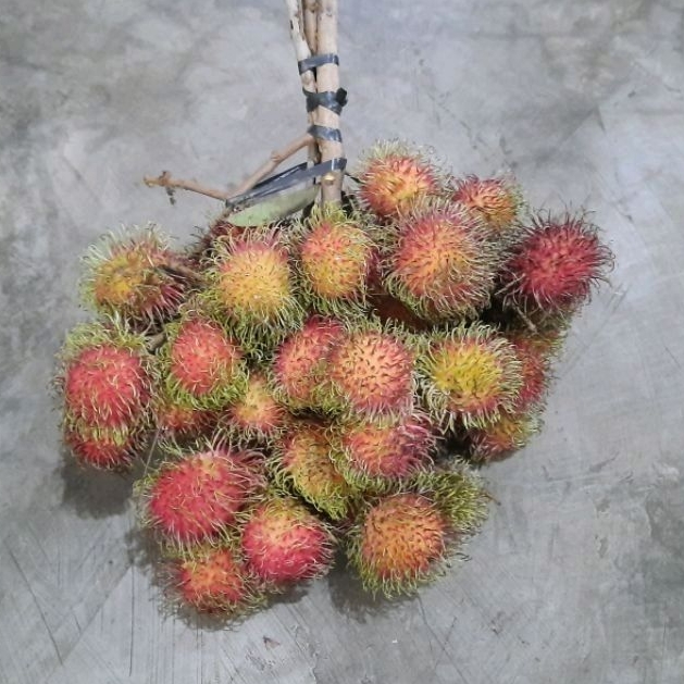 Jual Rambutan 1Kg | Shopee Indonesia