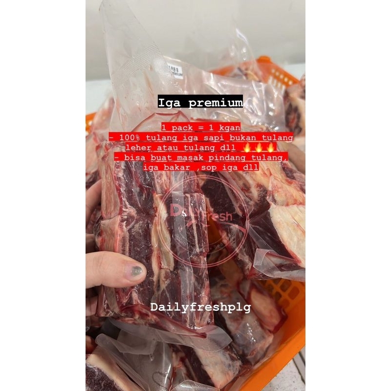 Jual TULANG IGA PREMIUM | AUS SHORT RIB (100% SAPI bukan KERBAU ...