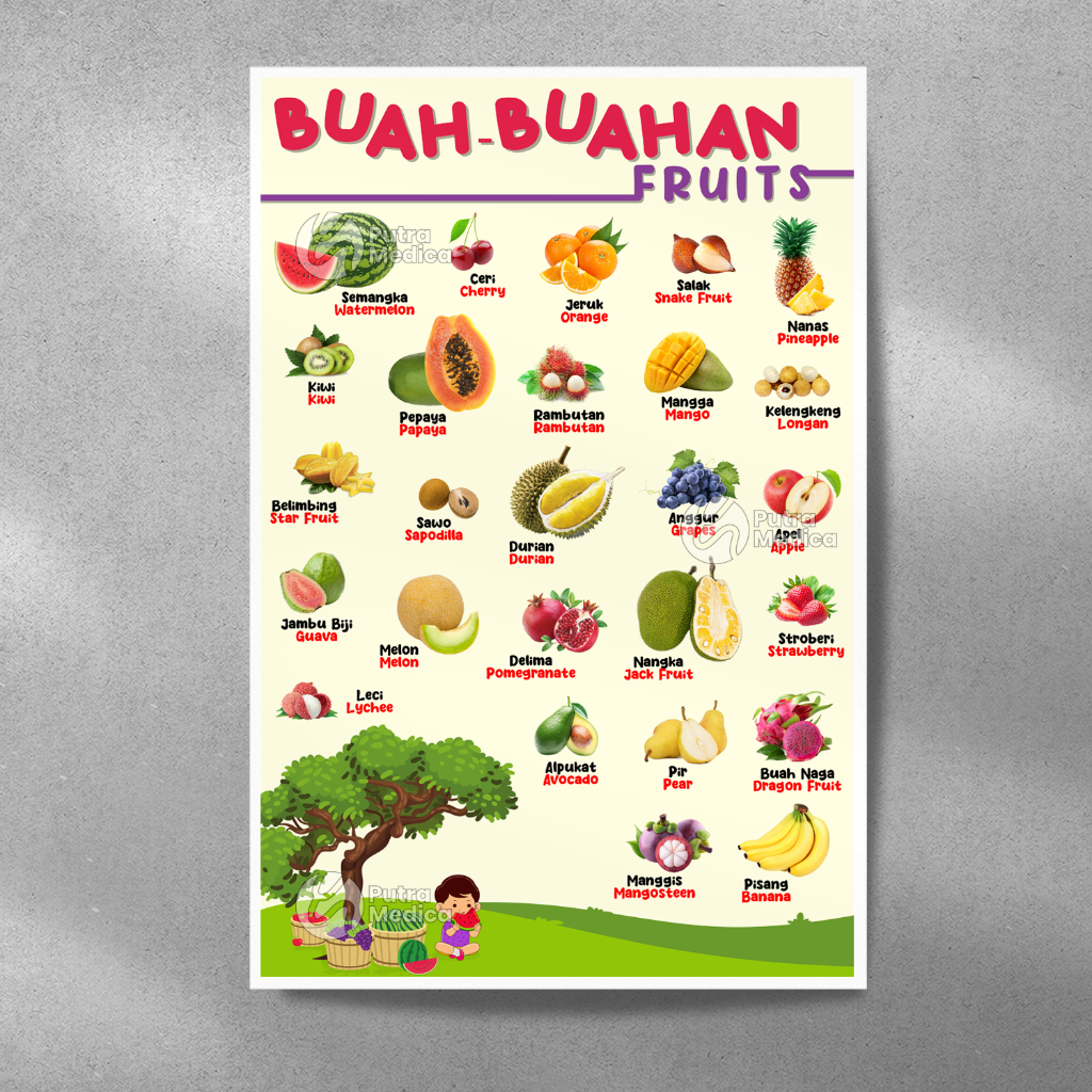 Jual Poster Mengenal Buah - Buahan A3+ / Gambar Edukasi Anak / Belajar ...