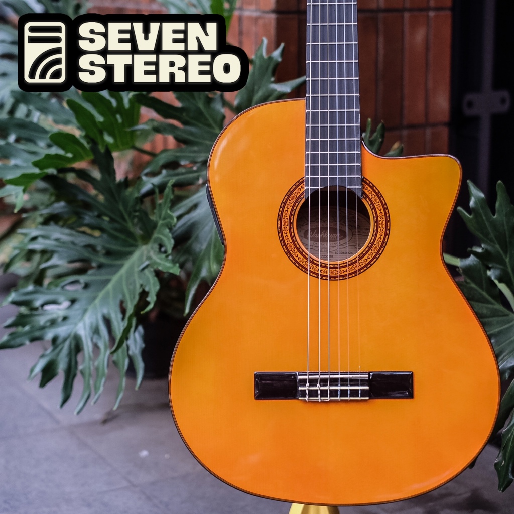 Jual Washburn C5CE Classic Nylon Acoustic Electric Shopee Indonesia