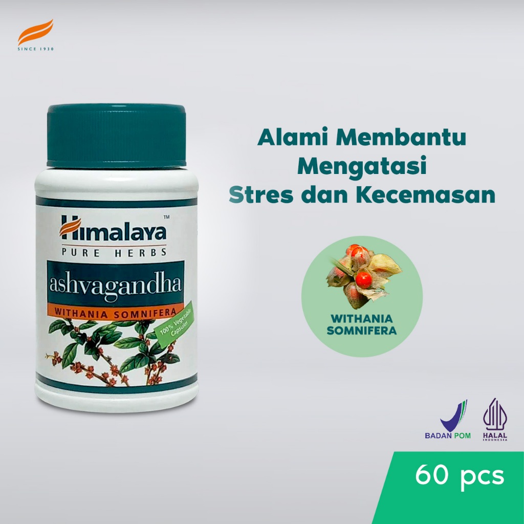 Jual HIMALAYA PARTY SMART PARTYSMART HERBAL ANTI HANGOVER PASCA