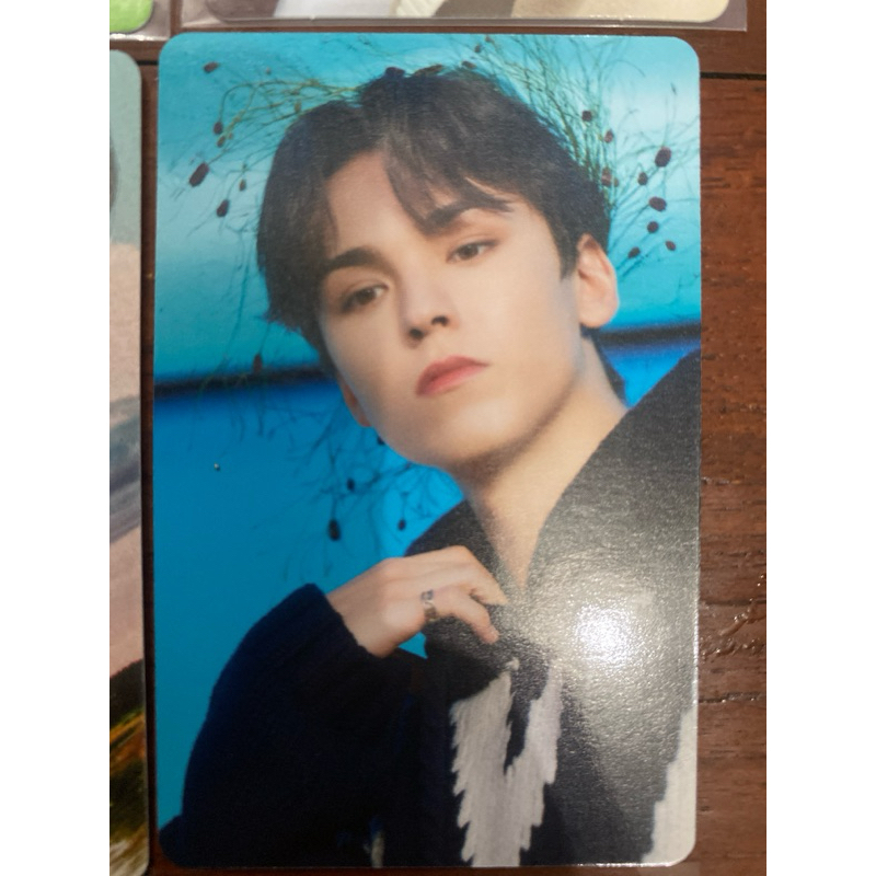 Jual SEVENTEEN Vernon Official Photocard | Shopee Indonesia