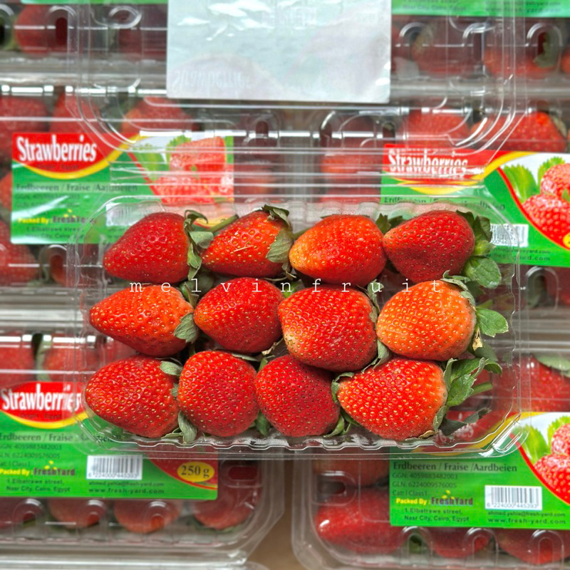 Jual Strawberry Egypt 250gr Shopee Indonesia