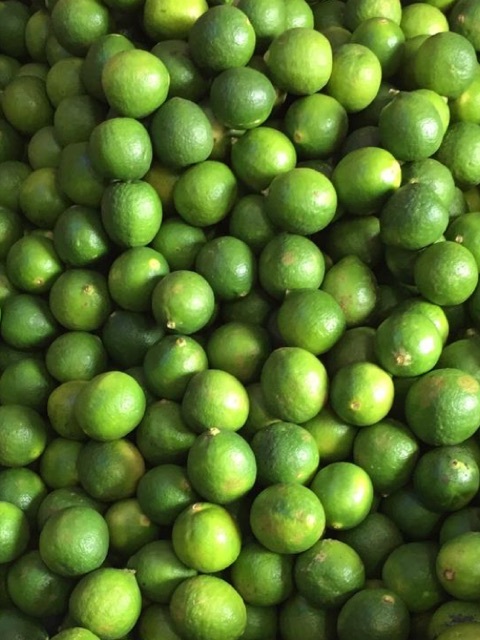 Jual Jeruk Nipis 500 gr Fresh | Shopee Indonesia