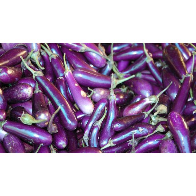 Jual Terong Ungu 500 gr Fresh | Shopee Indonesia