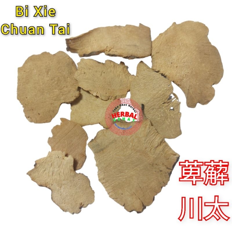 Jual Bi Xie 100gram Bei Xie / Chuan Tai Rhizoma Dioscoreae Hypoglaucae ...
