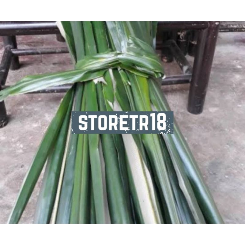 Jual Daun Pohon Aren Kering 250 Gram | Shopee Indonesia