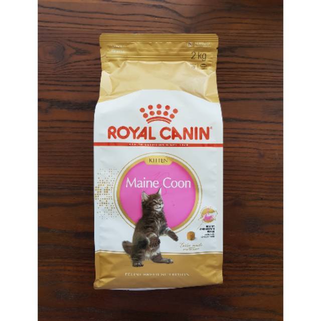 Jual Royal Canin Kitten Maine Coon 2Kg - Makanan Kucing Maine Coon ...