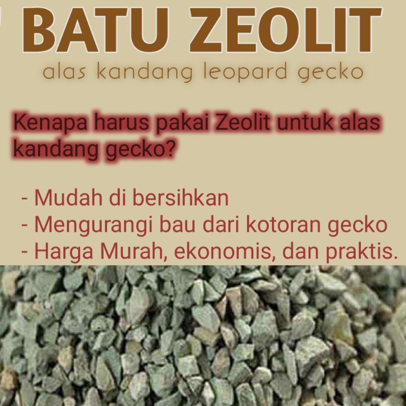 Jual BATU ZEOLIT ALAS KANDANG LEOPARD GECKO CORAL KERIKIL ALAS KANDANG ...
