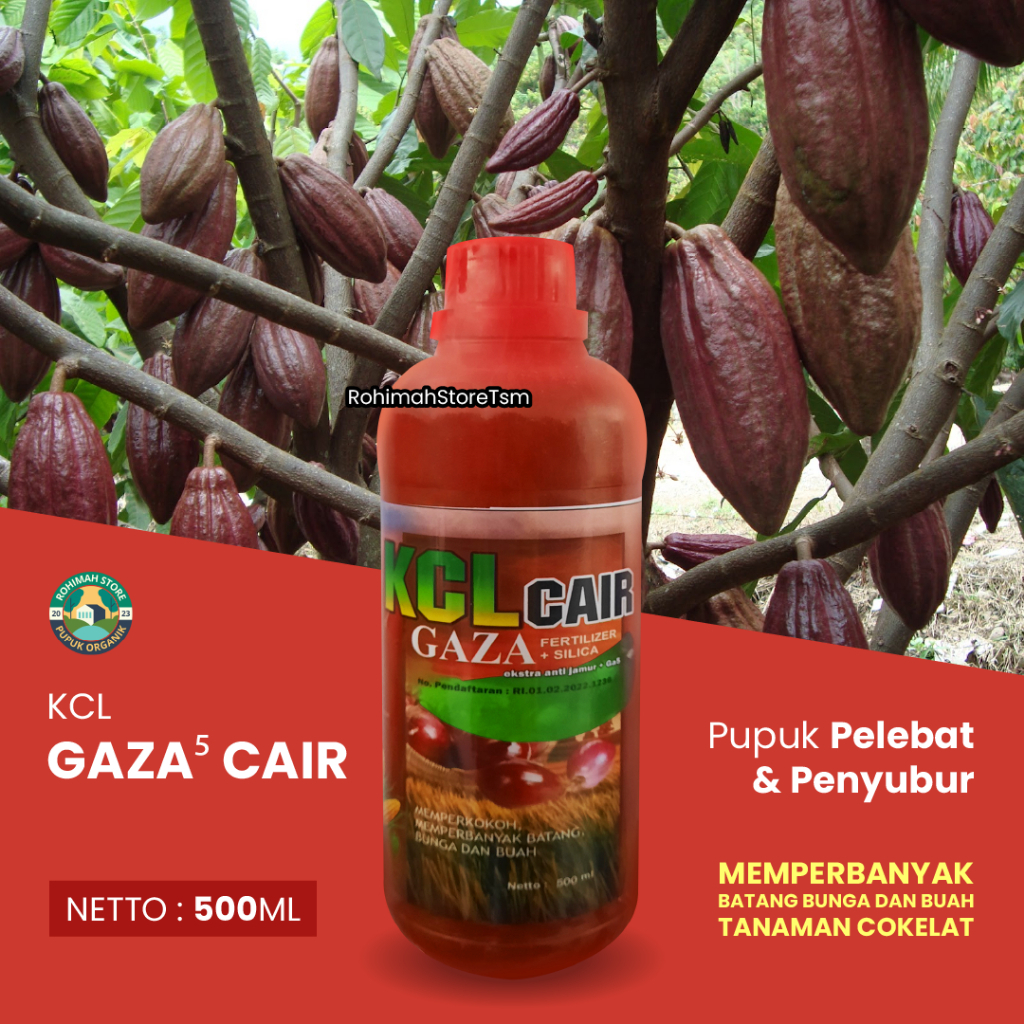 Jual Pupuk Cair Tanaman Coklat Pupuk Coklat Agar Berbuah Cepat