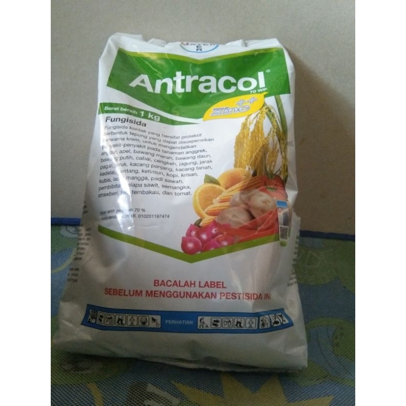 Jual Fungisida Antracol 70 WP - 1 kg | Shopee Indonesia