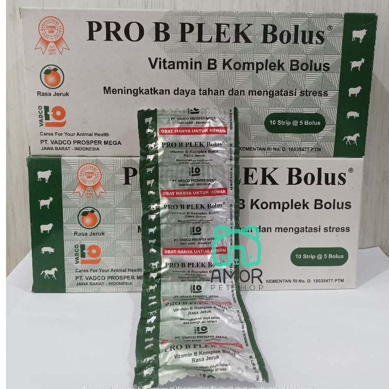 Jual PRO B PLEK 1 BOLUS - VITAMIN B KOMPLEK BOLUS - Vitamin B Complex ...