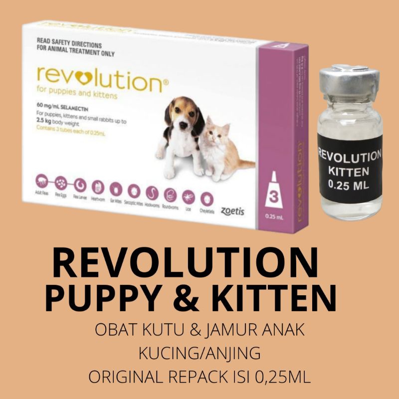 Jual REVOLUTION KITTEN PUPPY obat kutu anak kucing dan anjing