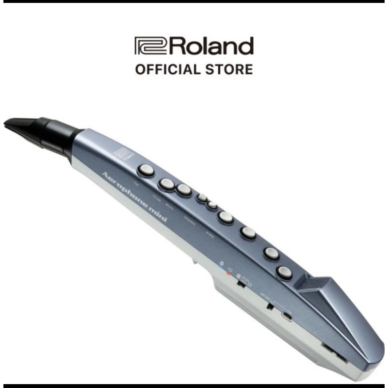 Jual [Ready Stock] Roland Aerophone Mini AE-01 Digital Wind Instrument ...