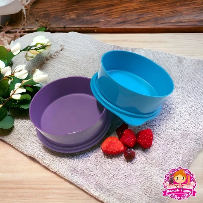 Jual Wadah Tempat Makanan Kue Bekal Large Deep Bowl Tupperware Tuppy ...