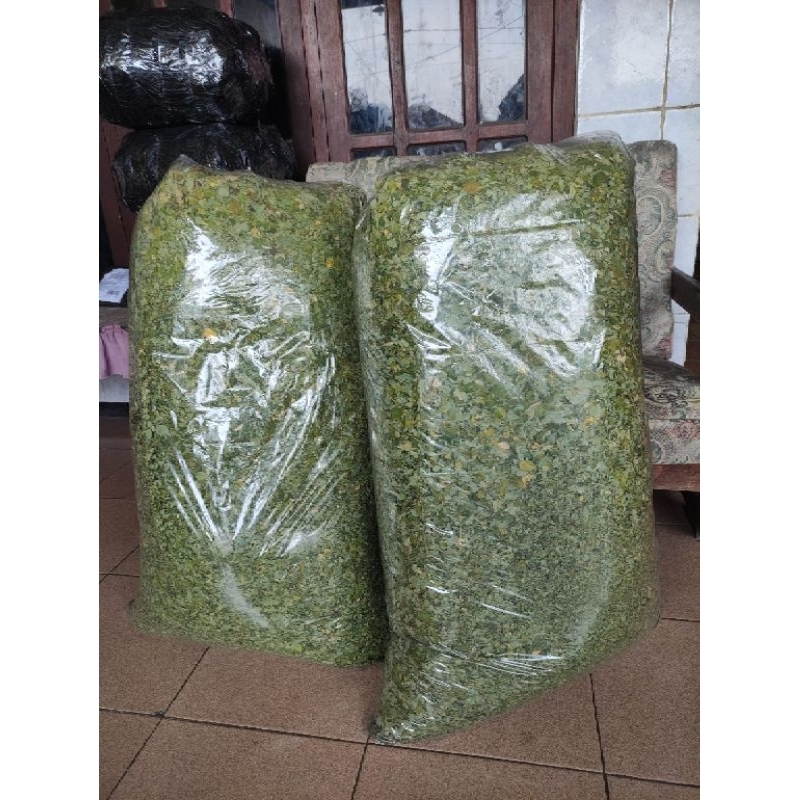 Jual Daun Kelor Kering Murni Hijau Kg Termurah Teh Moringa Shopee