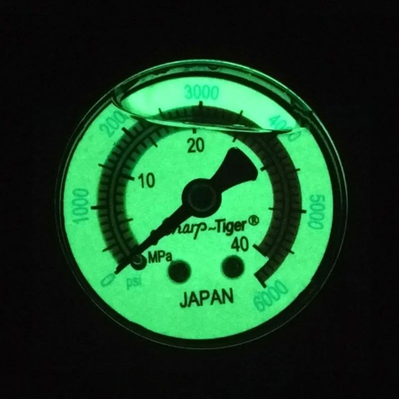 Jual Pressure Gauge Manometer Pompa Pcp 6000 Psi | Shopee Indonesia