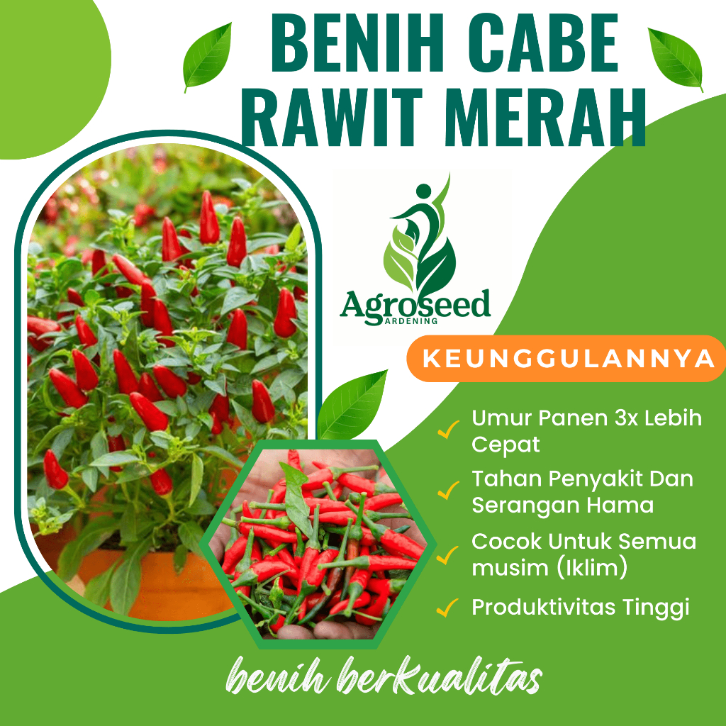 Jual Benih Seribuan Paket Lengkap Benih Super Unggul Sayuran Cepat ...