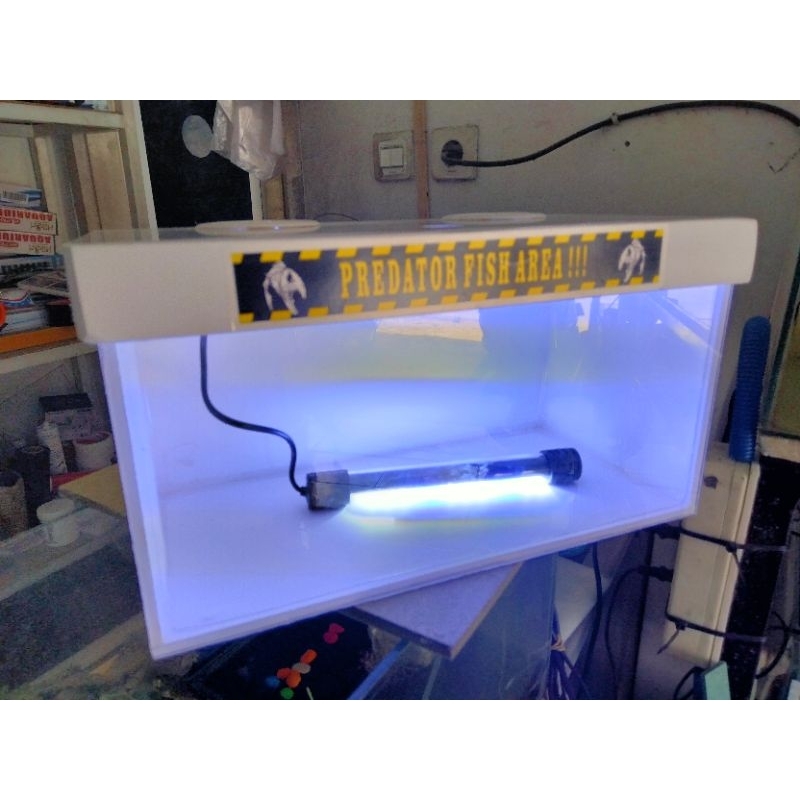 Jual AQUARIUM CHANA CUPANG mini ukuran 30*15*15 bahan pvc dan akrilik ...