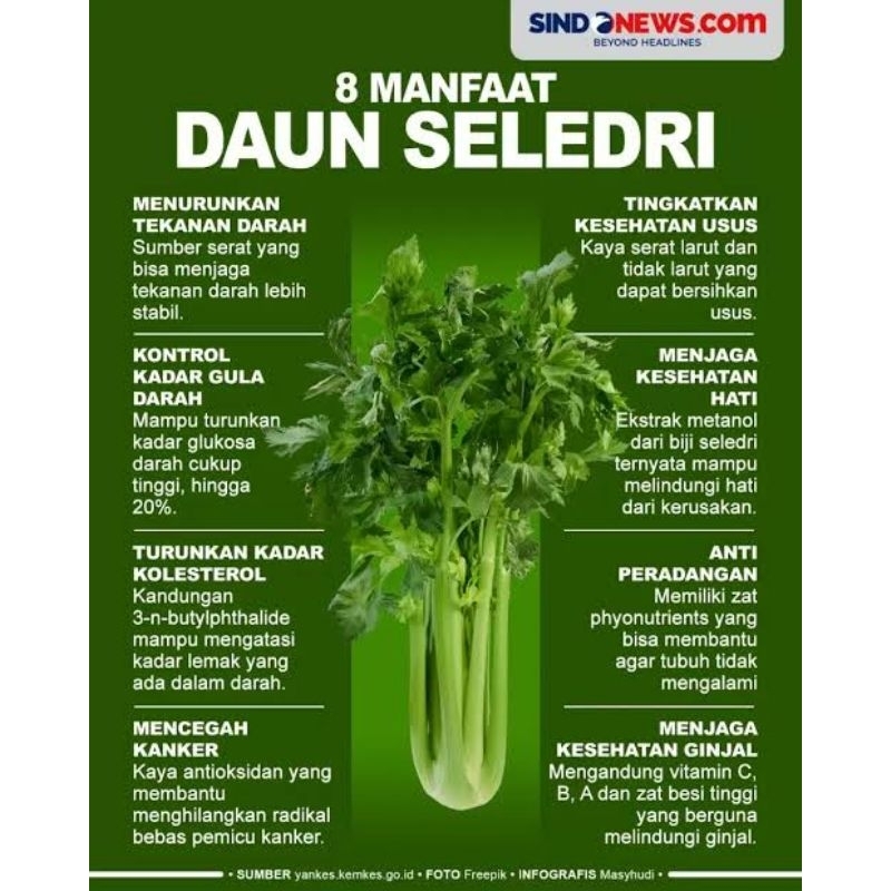 Extrak 100% Daun Seledri Murni Tanpa Campuran Apapun, Kolesterol, Darah Tinggi, Ginjal, Isi 100kapsul