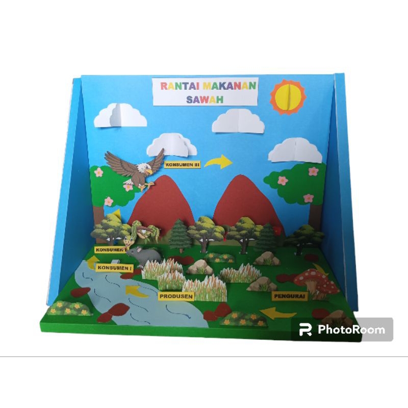 Jual diorama rantai makanan sawah/alat peraga rantai makanan sawah