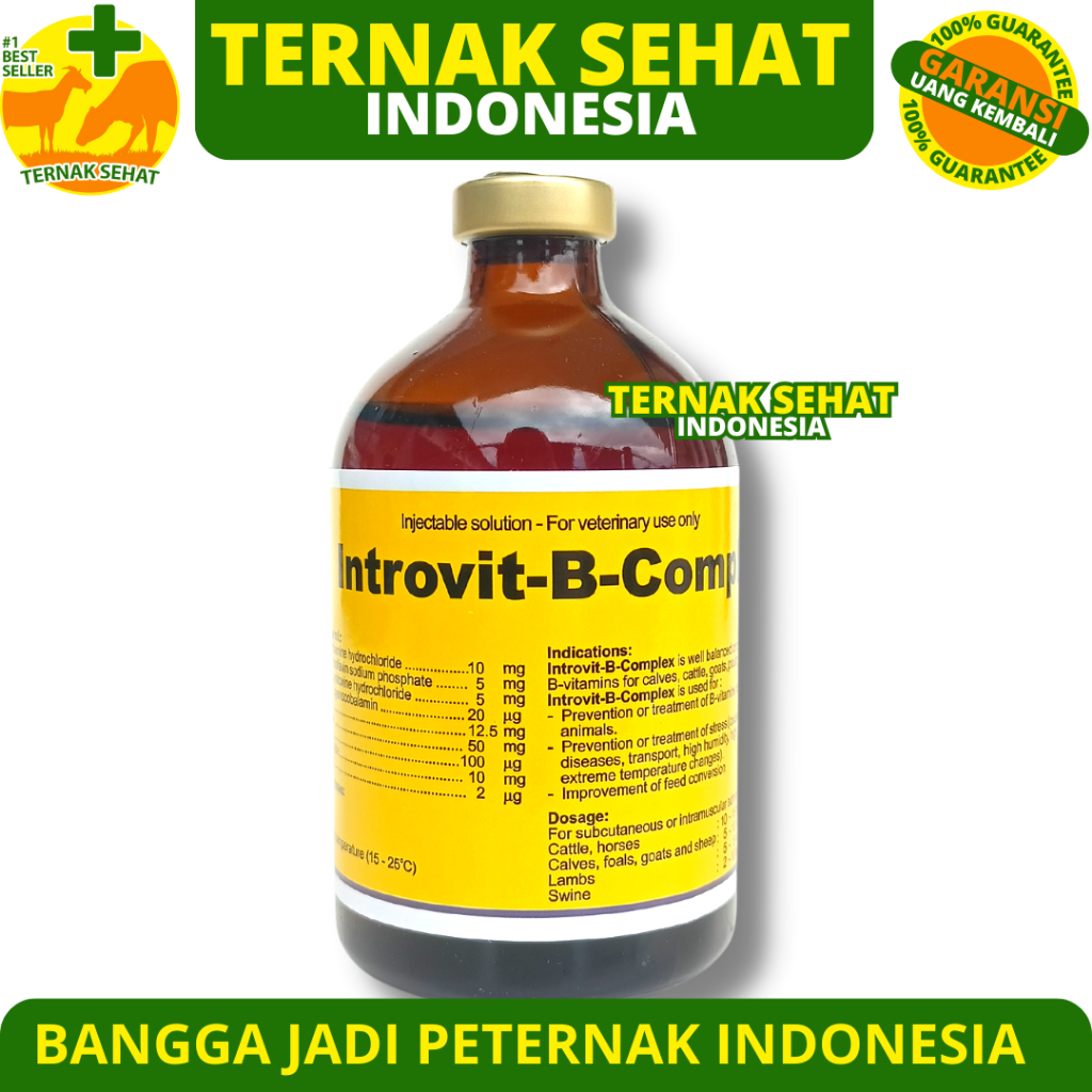 Jual INTROVIT B COMPLEX 100ml - (KONSENTRASI TINGGI DAN BIOTIN ...