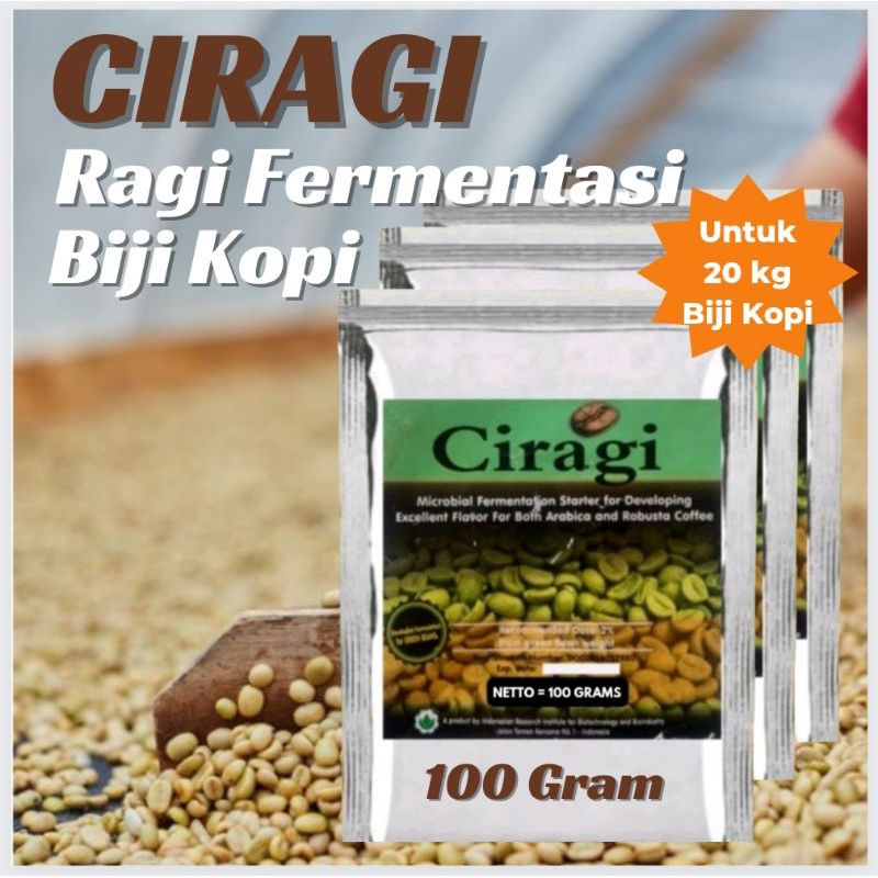 Jual CIRAGI Ragi Fermentasi Biji Kopi Robusta Arabica | Shopee Indonesia