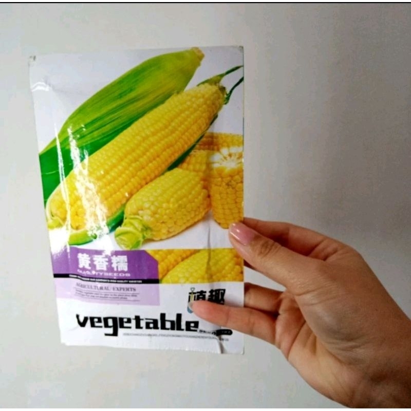 Jual BENIH JAGUNG MANIS/ JAGUNG KUNING POPCORN kemasan pabrik asli ISI ...