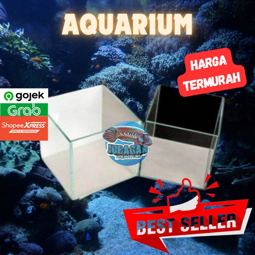 Jual Aquarium Kaca Besar 100x40x40 - Kaca Aquarium Minimalis Full Set ...