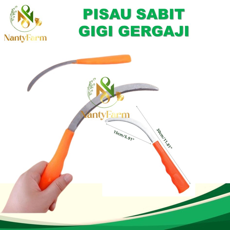 Jual Pisau Sabit Gergaji Kecil Gagang Plastik Penghilang Rumput Baja ...