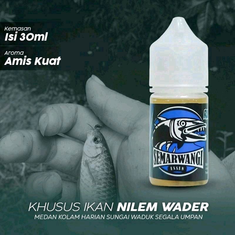 Jual Semarwangi Essen Ikan Nilem Mancing Kolam Harian Dan Alam Liar