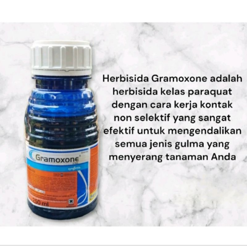 Jual Gramoxone 276sl 250 Ml Herbisida Racun Pembasmi Rumput Dan Gulma