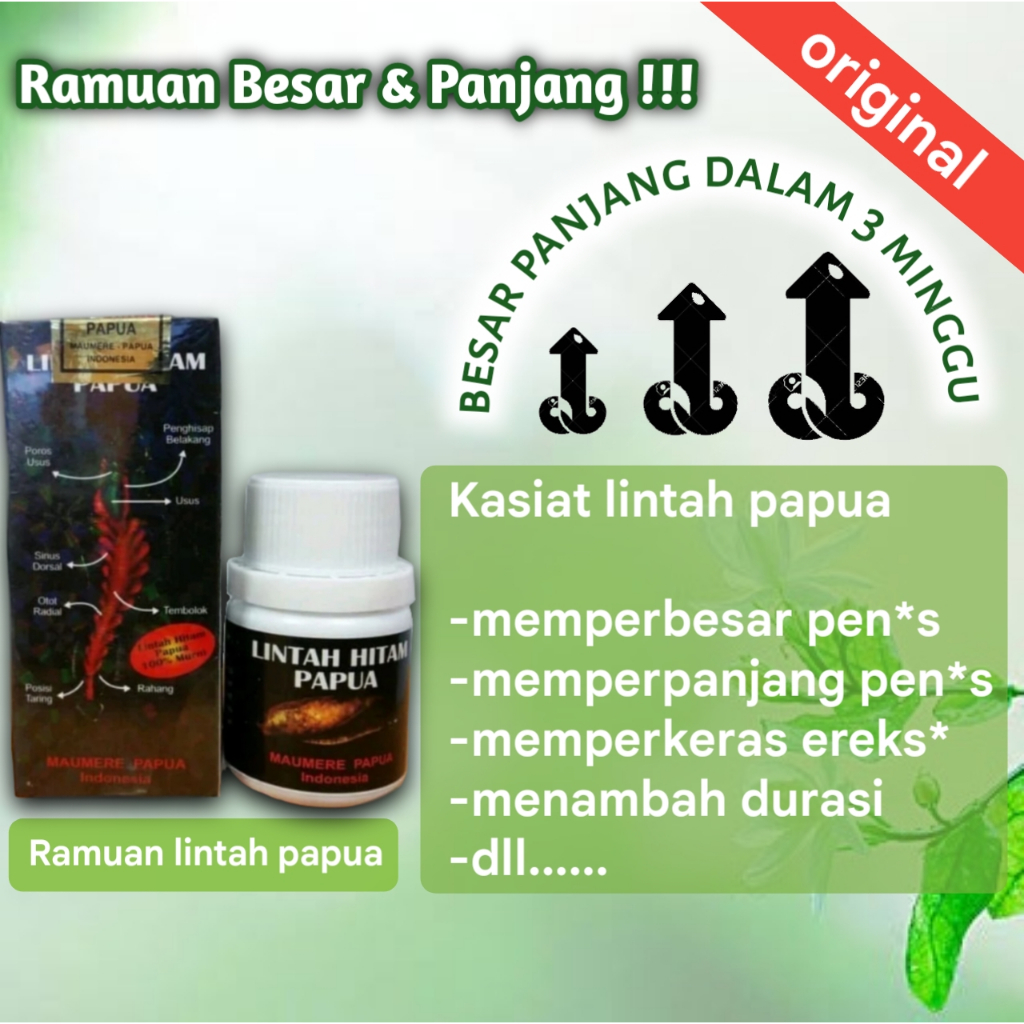 Jual Obat Pembesar Penis Asli Lintah Hitam Papua 100 Original Permanen