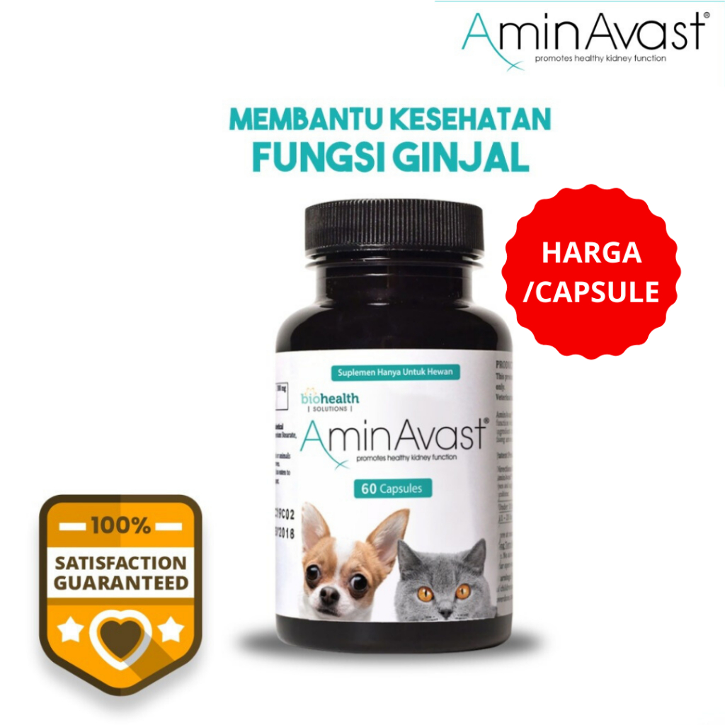 biohealth AminAvast アミンアバスト 60カプセル AminAvast
