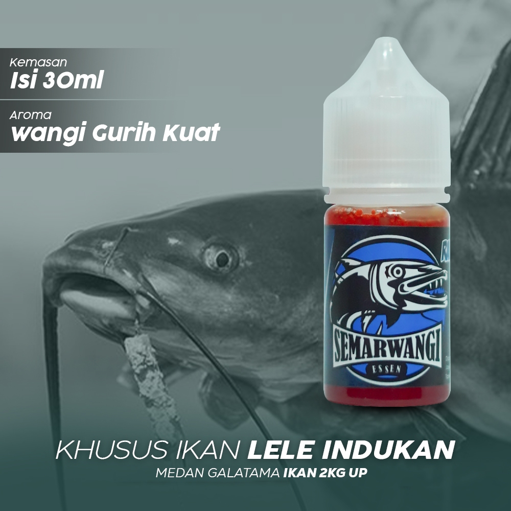 Jual Semarwangi Essen Mancing Ikan Lele Galatama Lomba Target Induk