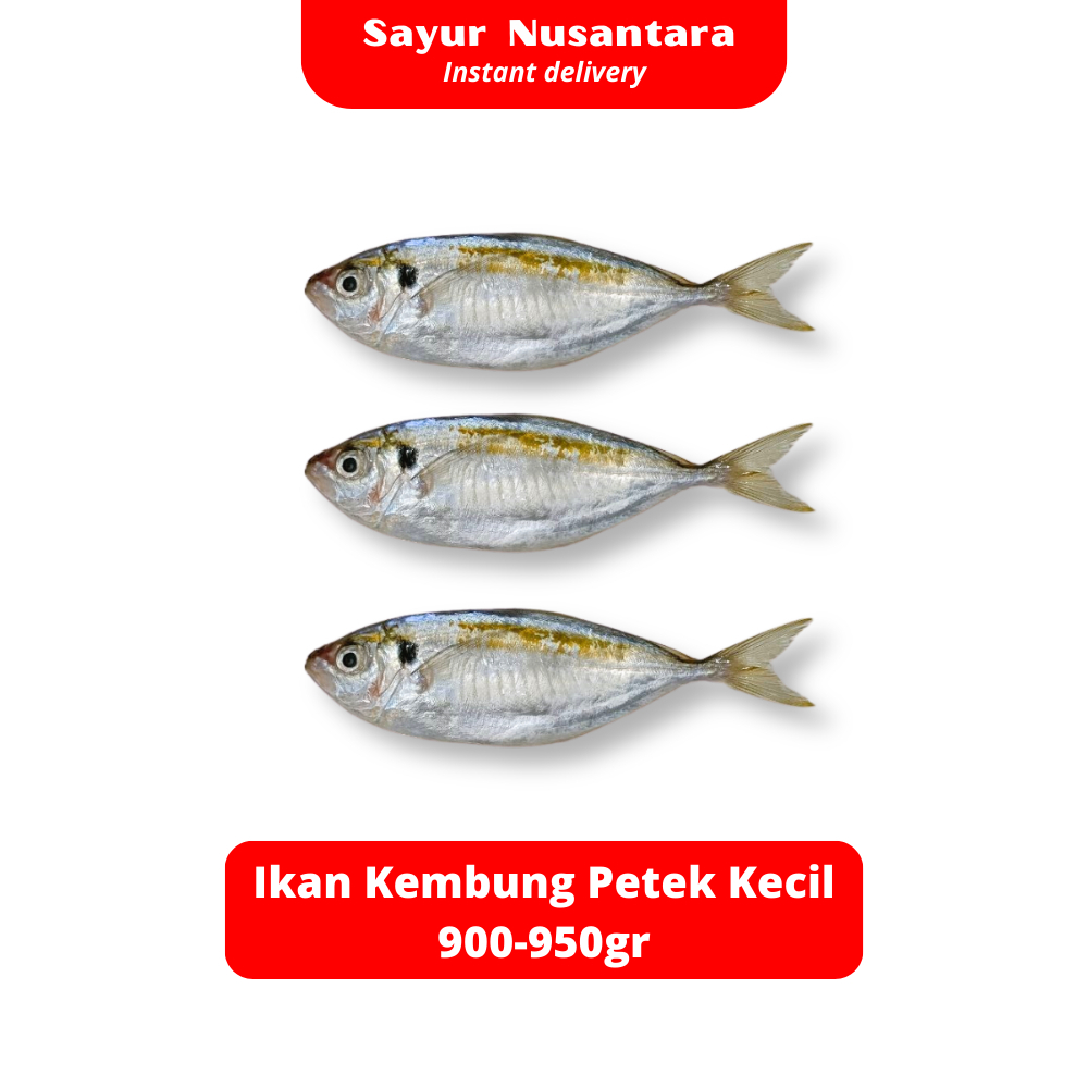 Jual Ikan Kembung Petek Kecil 900-950gr Fresh Frozen - Sayur Nusantara ...