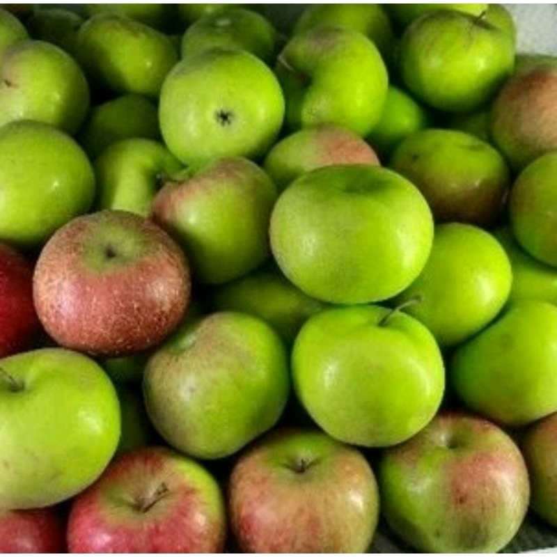 Jual buah apel malang super 1 kg / apel malang fresh 1 kg | Shopee ...