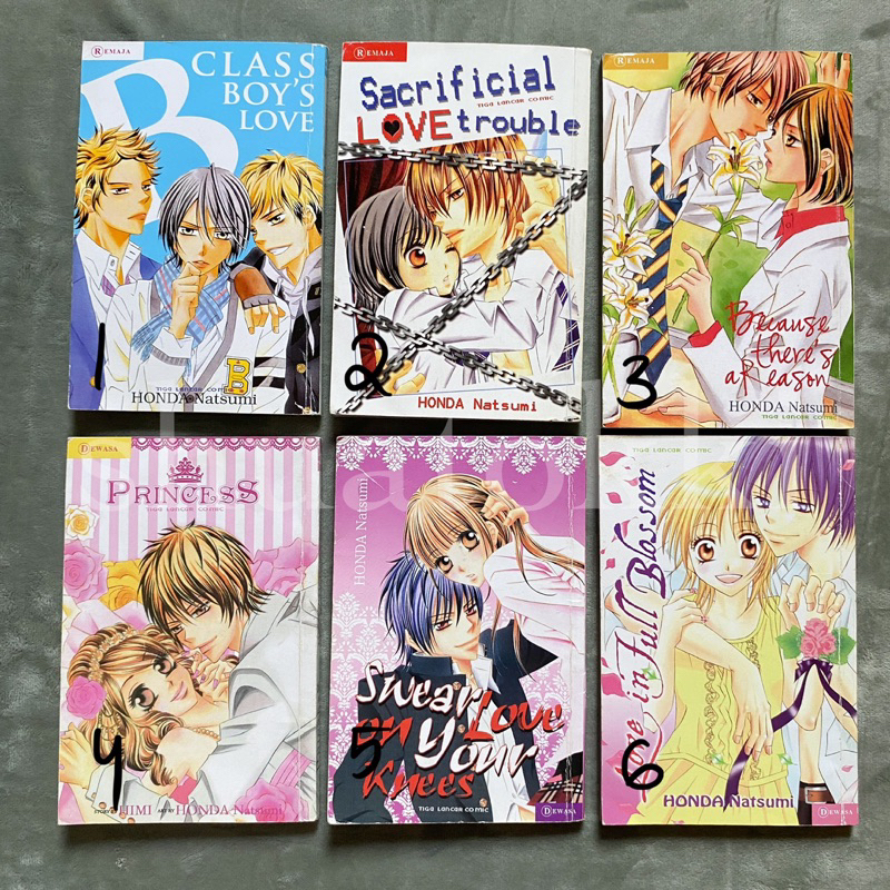 Jual [SATUAN] komik oneshot by Honda Natsumi - princess swear love on ...