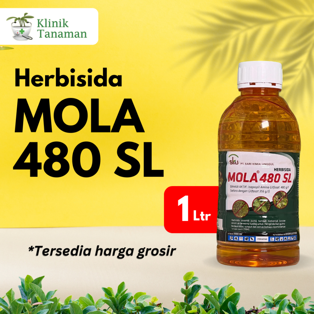 Jual Obat Rumput Mola @ 1Ltr Herbisida Pembasmi Aneka Macam Gulma ...