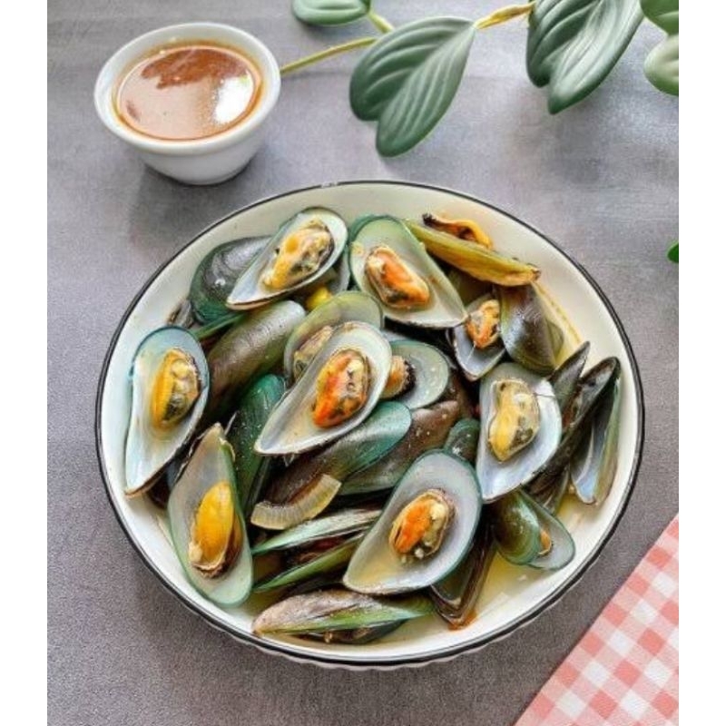 Jual Kerang Hijau - Kerang Ijo - Seafood Kerang 1kg | Shopee Indonesia