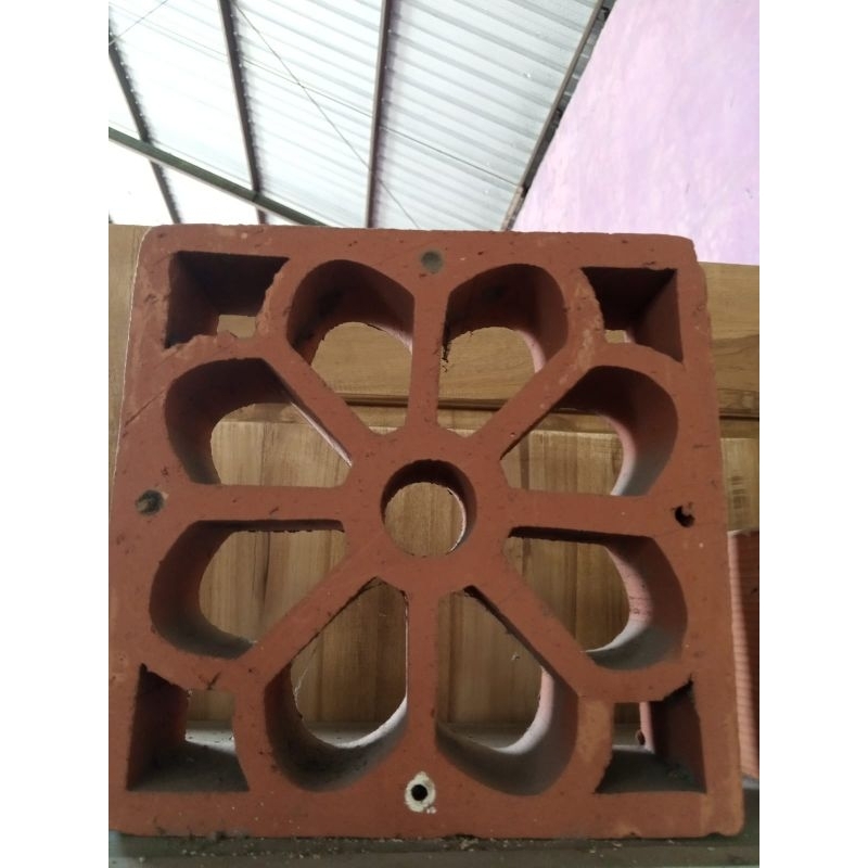 Jual ROSTER KUNO/ROSTER MERAH/ROSTER TANAH LIAT | Shopee Indonesia
