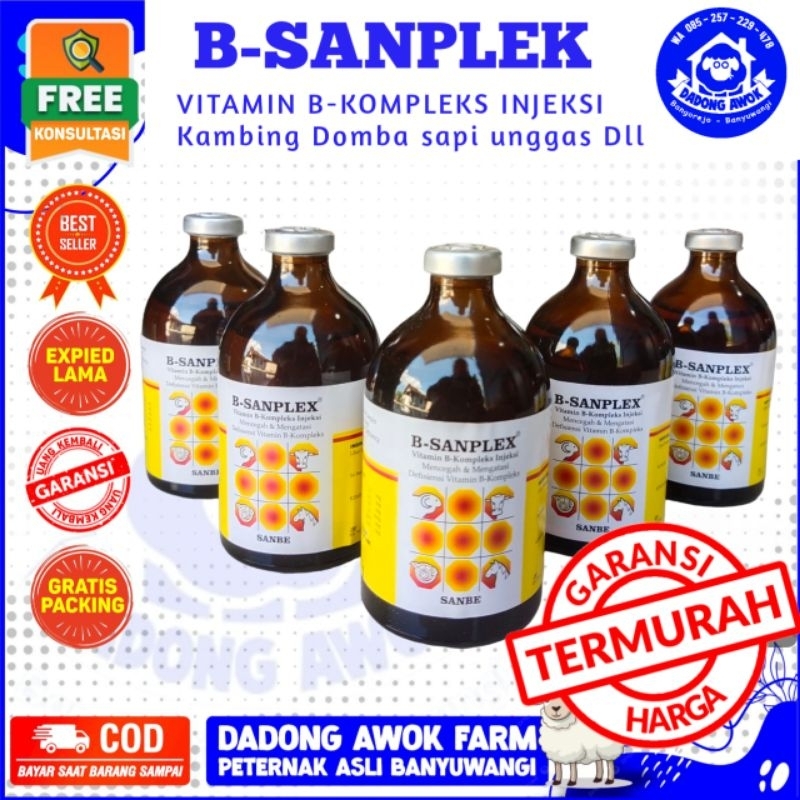 Jual B Sanplex Ml B Sanplek Ml Vit B Kompleks Vitamin Suplemen Multivitamin Obat Sapi