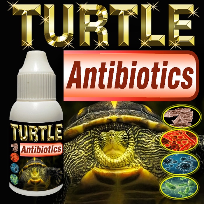 Jual TURTLE ANTIBIOTICS OBAT PENCERNAAN DAN PERNAPASAN PENYAKIT DIARE ...