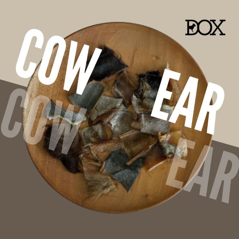 Jual DOX! Kuping Sapi Bulu Kering -Dehydrated Cow Ear with Fur - Dental ...