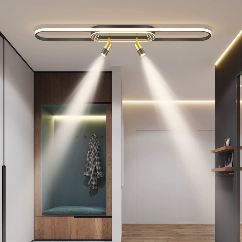 Jual Lampu Plafon LED Lampu Sorot Ganda Lampu Plafon Ruang Tamu