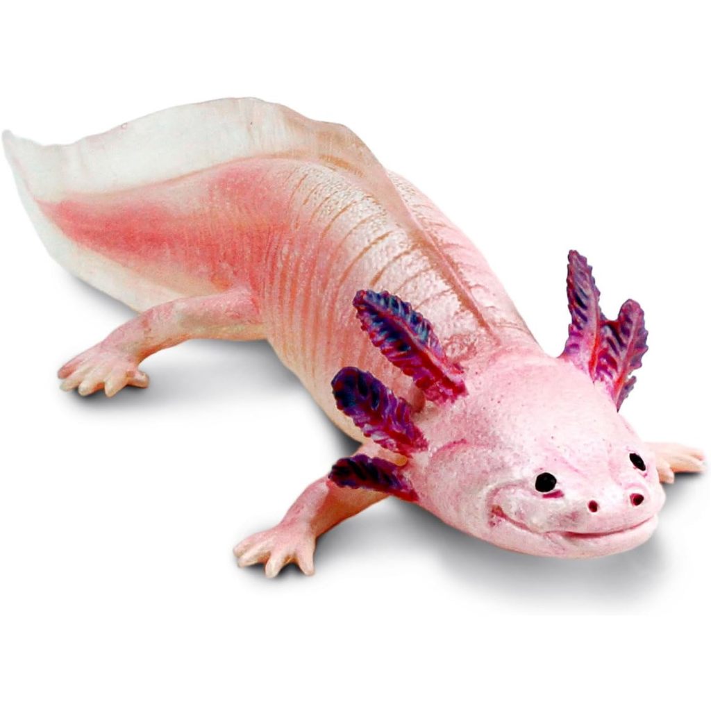 Jual Safari Ltd - Axolotl Figurine | Shopee Indonesia