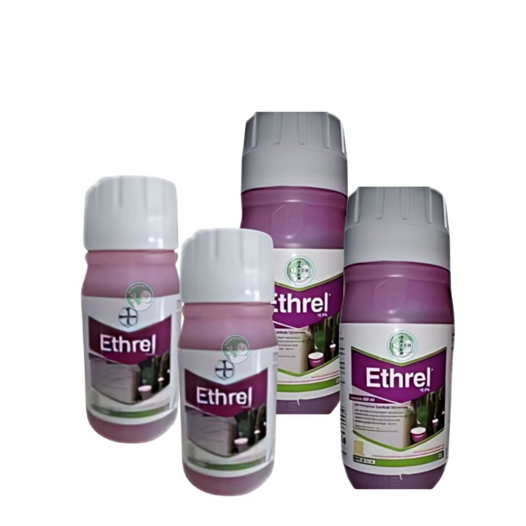 Jual Ethrel Ungu Ukuran 500 gram,250 gram | Shopee Indonesia