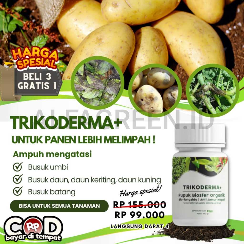 Jual TRIKODERMA BELI 3 GRATIS ALFAGREEN-Bio-Fungisida Tricoderma Plus ...