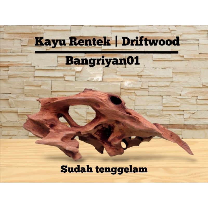 Jual kayu rentek sudah tenggelam terbaik murah | Shopee Indonesia