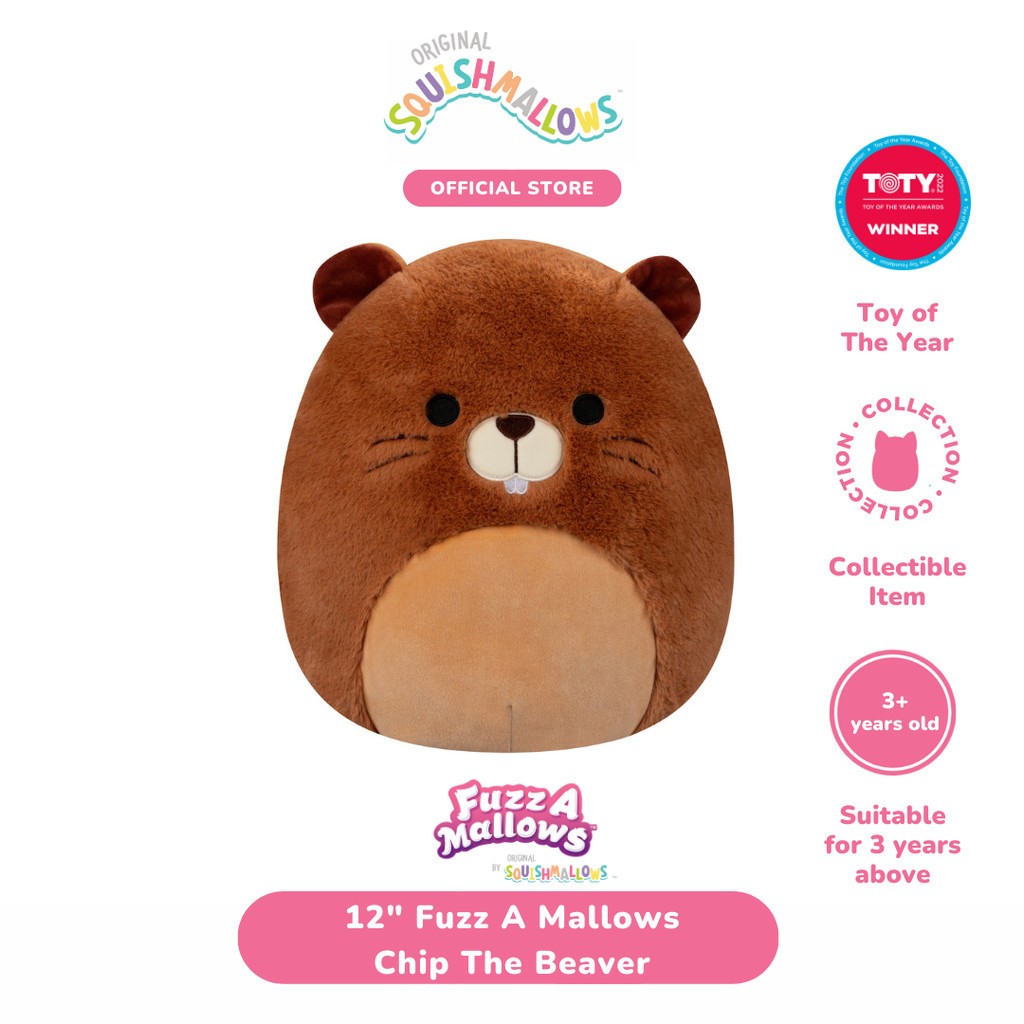 Jual Squishmallows Fuzz A Mallows Chip The Beaver 12 Inch | Shopee ...